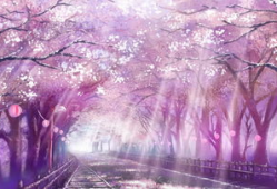 樱花动漫大全,漫享青春，邂逅梦幻动漫世界